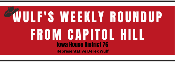 Wulf's Weekly Roundup: Back To Work in the 91st General Assembly